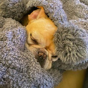 Meet your Posher, Gigi